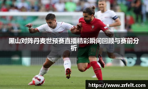 黑山对阵丹麦世预赛直播精彩瞬间回顾与赛前分析