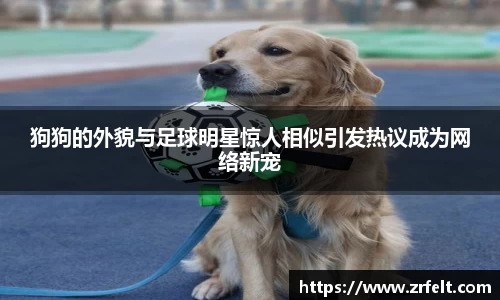 狗狗的外貌与足球明星惊人相似引发热议成为网络新宠